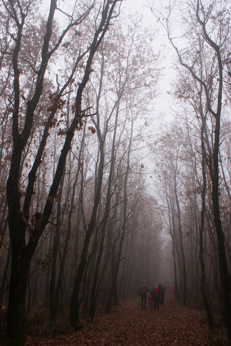 Laczkó-Magyar György