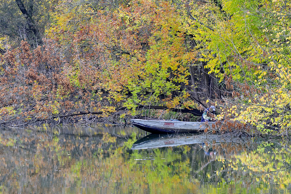 Gaál Zoltán Péter
