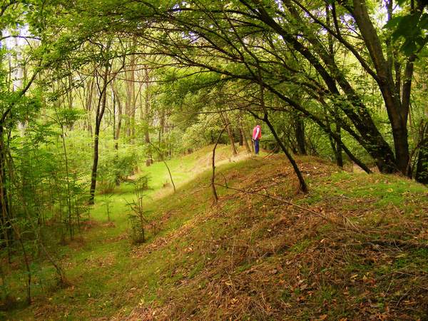 Alice Csodaországban