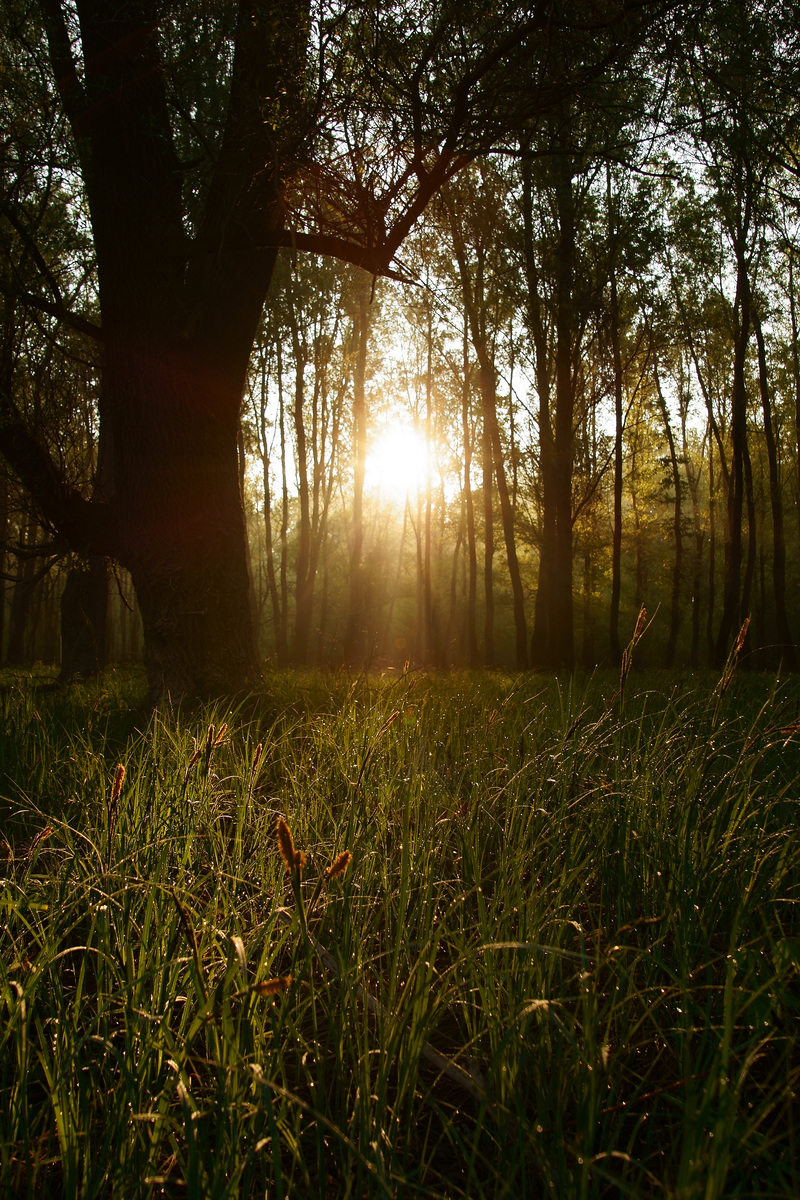 Kalmár Lajos Gábor