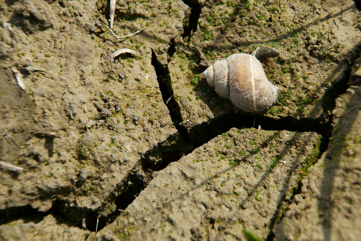 Kalmár Lajos Gábor