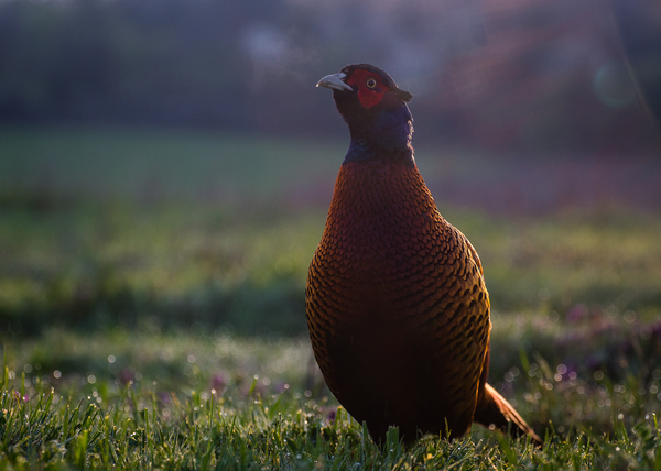 Egy mély lélegzet...
