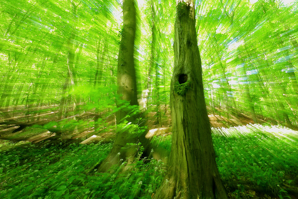 Fekete lyuk vonzásában