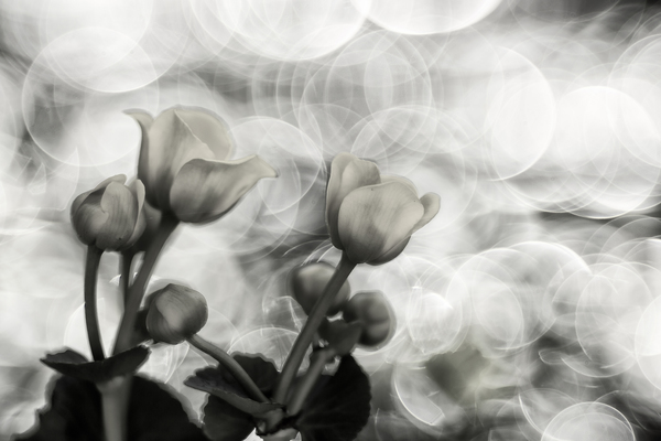 Egyszer volt egy gólyahír