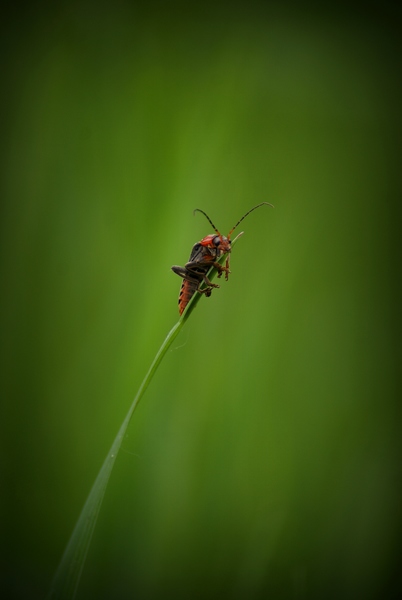 Csak pihenek egy kicsit