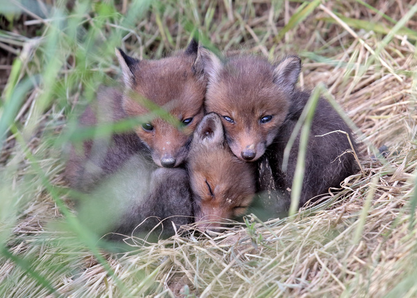 Vigyázunk egymásra