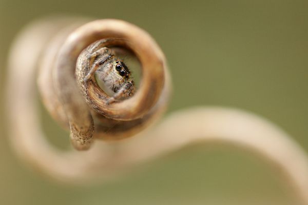 fogság vagy biztonság?