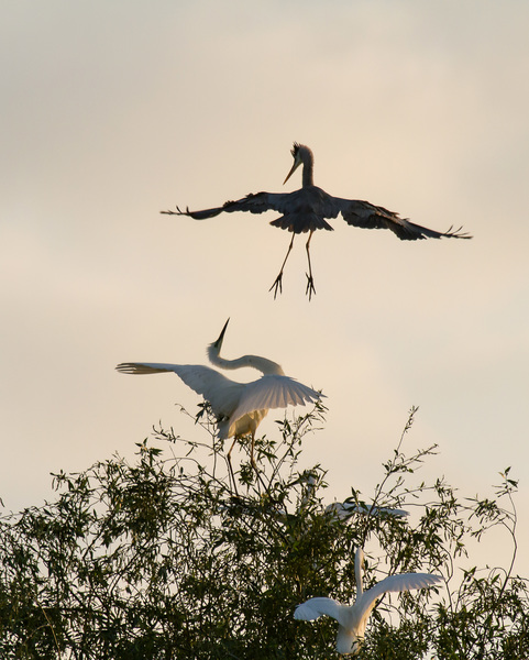 harc a beszálló helyért