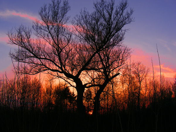 Keringő a naplementében