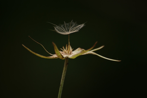 Digitális átállás