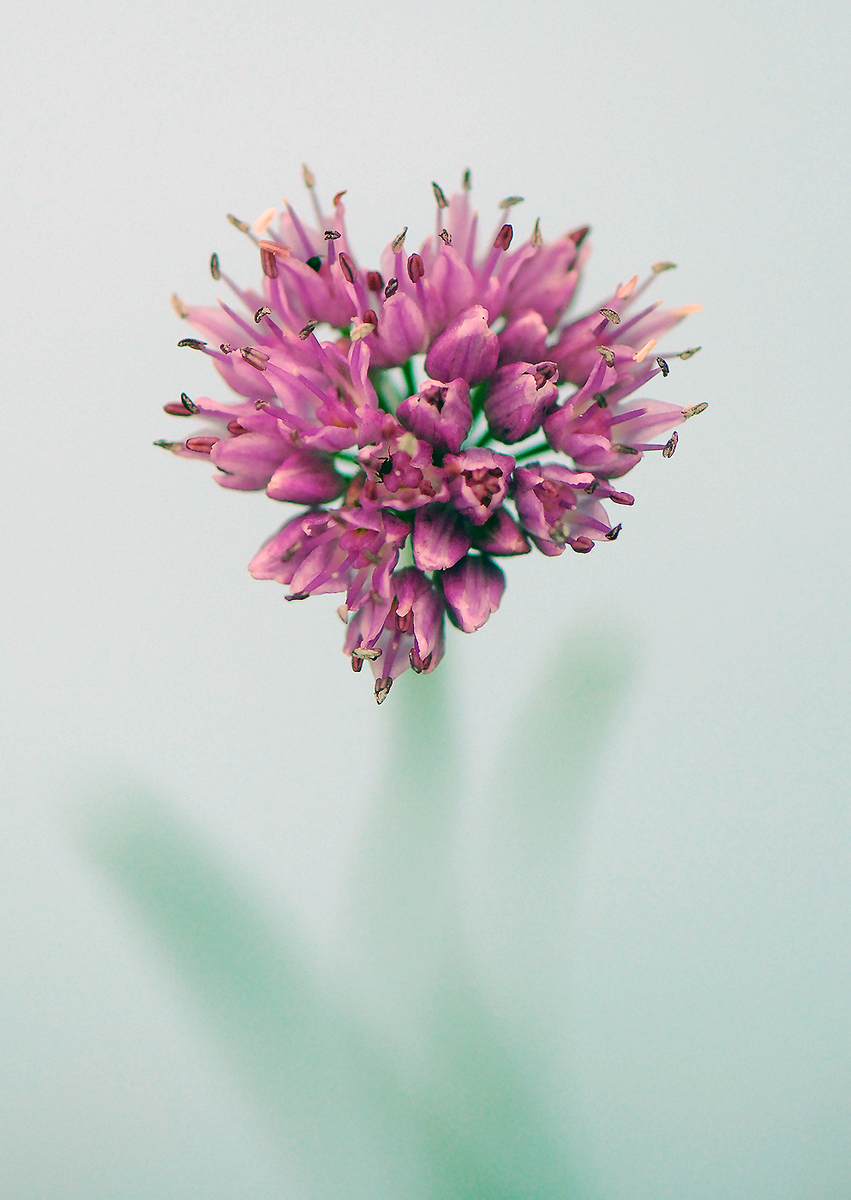 Gaál Zoltán Péter