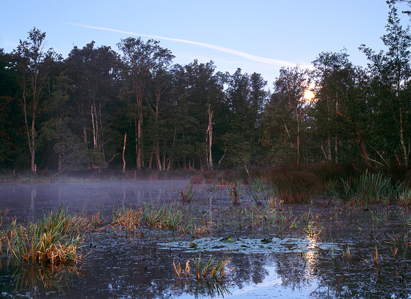 Holdfény a Nagyberekben