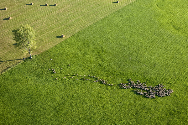 Egy alföldi délután