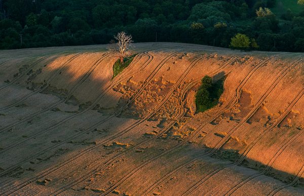 Az utolsó simogató sugarak