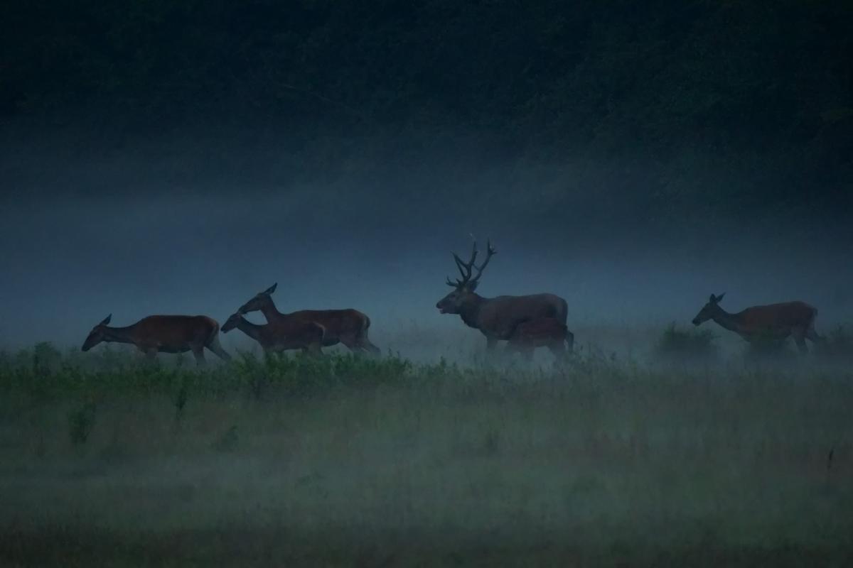 Kalmár Lajos Gábor