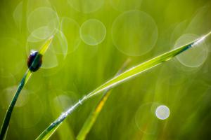 Még alszom egy kicsit!