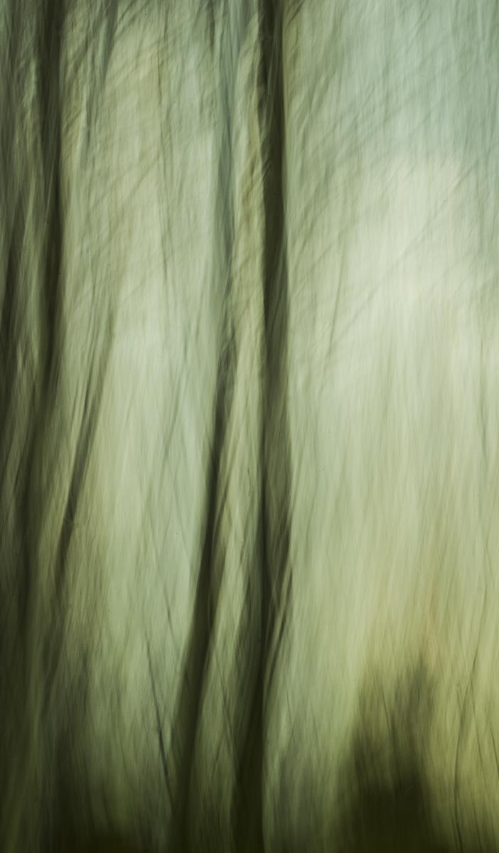 Berkesi Ágota Mirjam