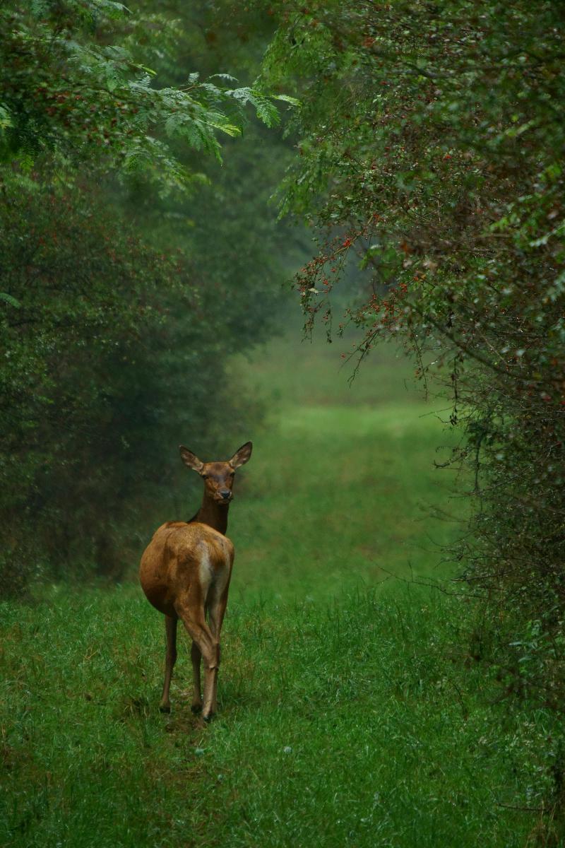Kalmár Lajos Gábor