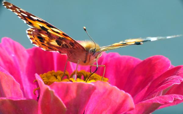 Dolgozik a szívószál