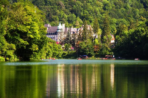 Van egy kéktó a fák alatt ...