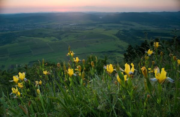 Kilátás a Nagyegedről