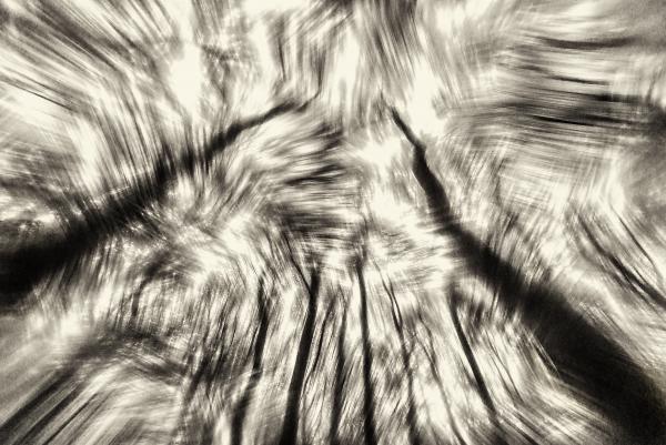 Monokróm imresszió