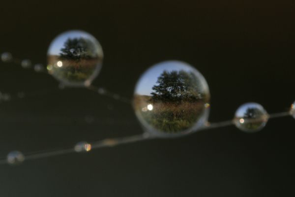 Párhuzamos világok