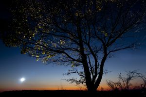 Itt van az ősz, itt van ú Itt van az ősz, itt van ú