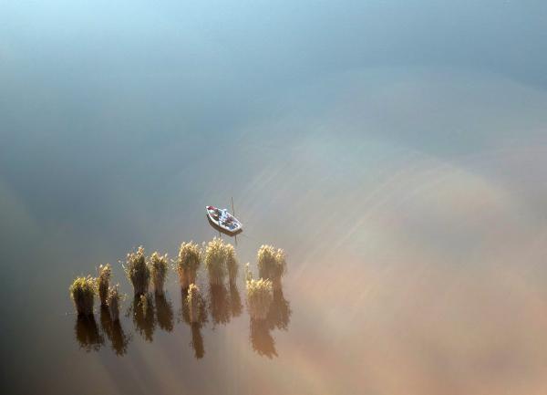 Kapásidő madárszemmel