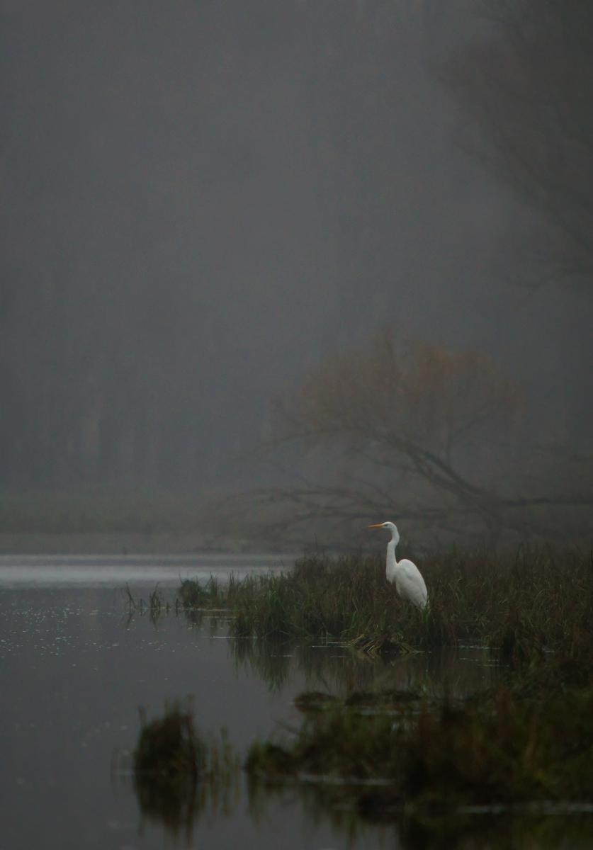 Kalmár Lajos Gábor