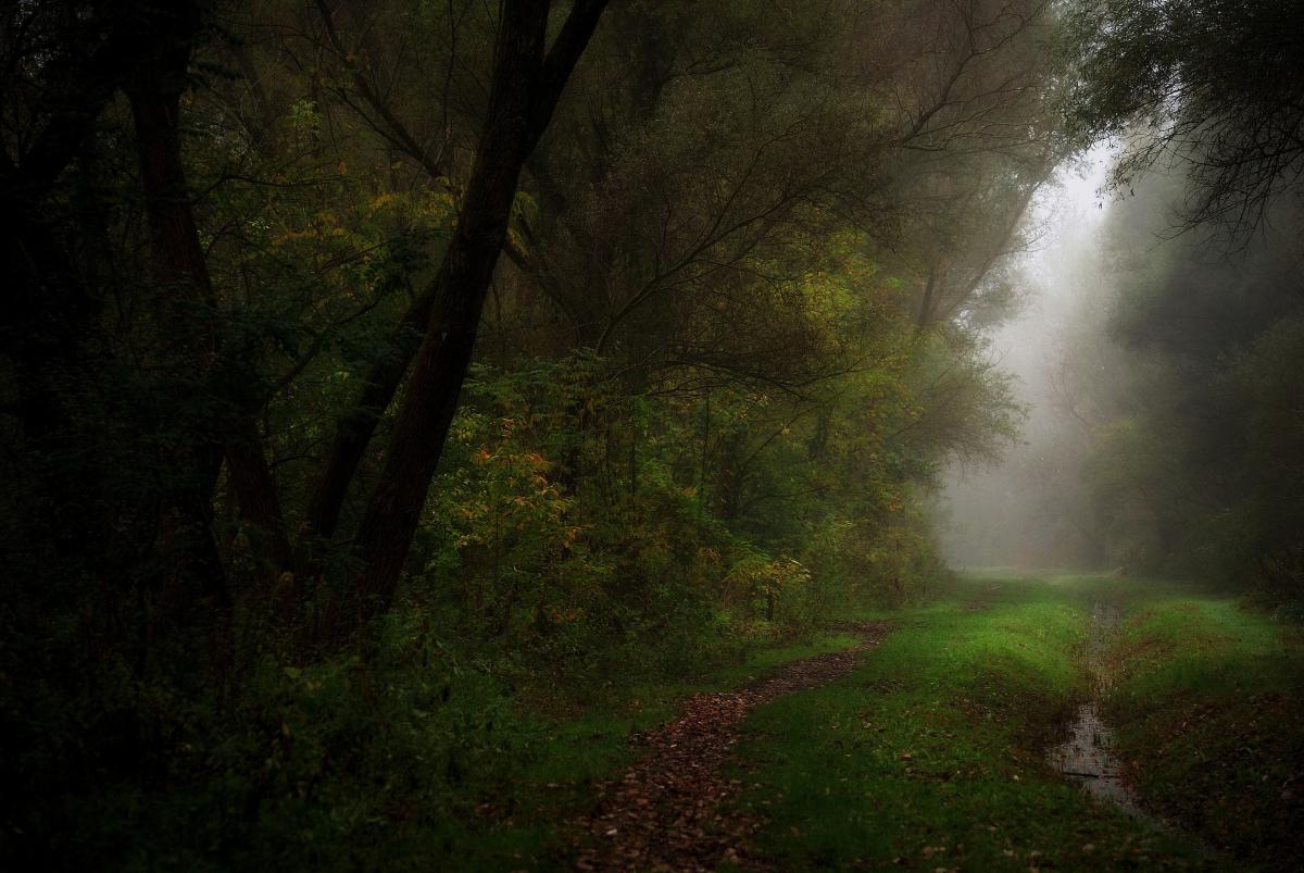 Laczkó-Magyar György