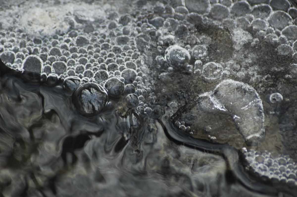 Berkesi Ágota Mirjam