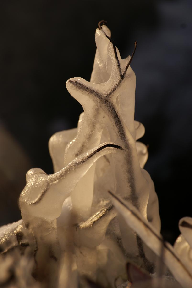 Laczkó-Magyar György