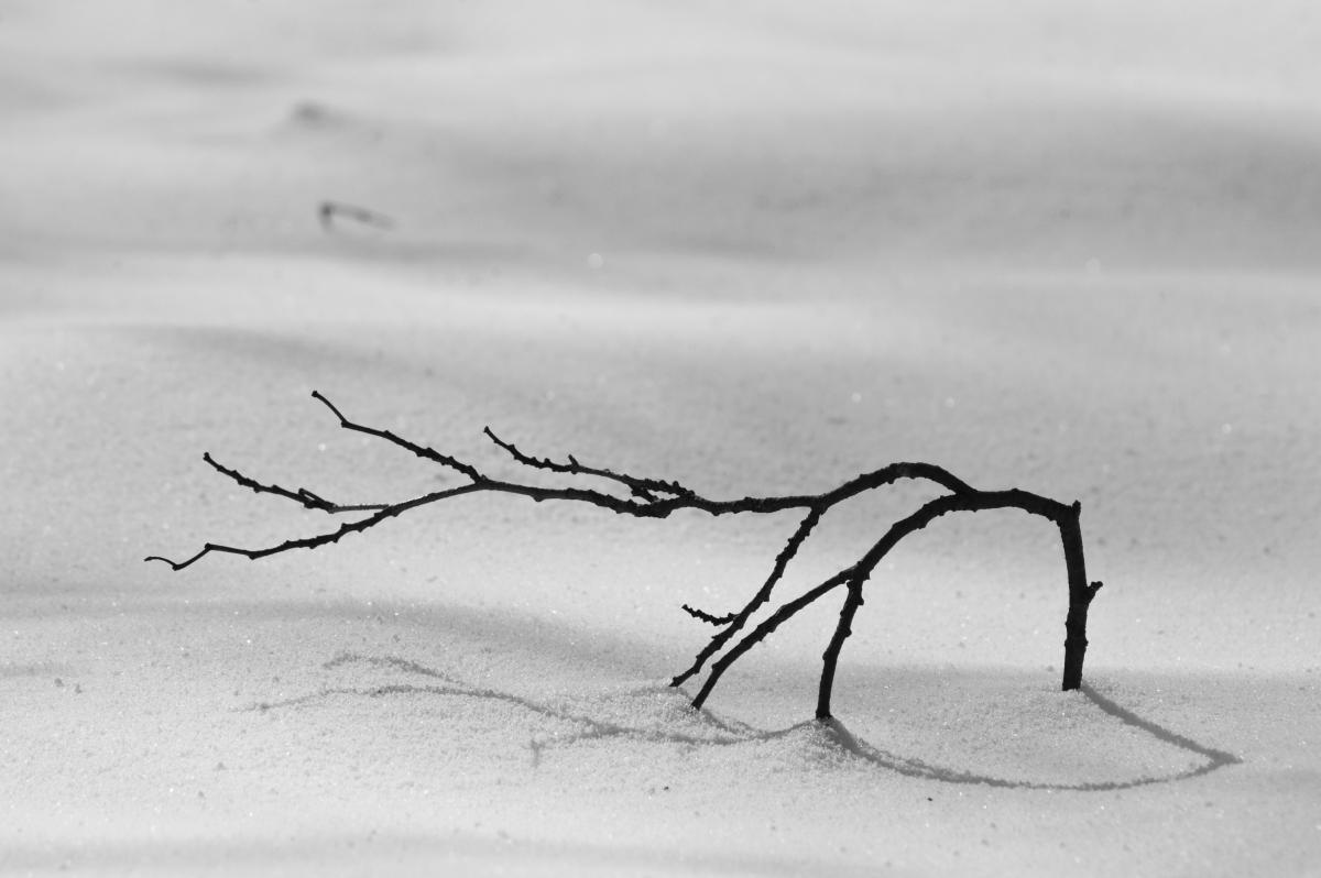 Berkesi Ágota Mirjam