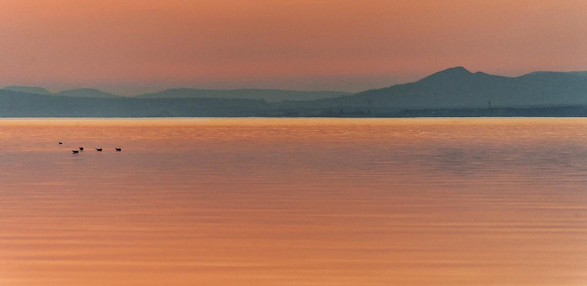 Gaál Zoltán Péter