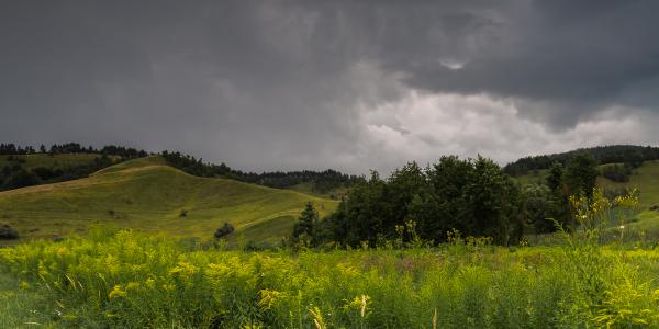 Magyar Toscana