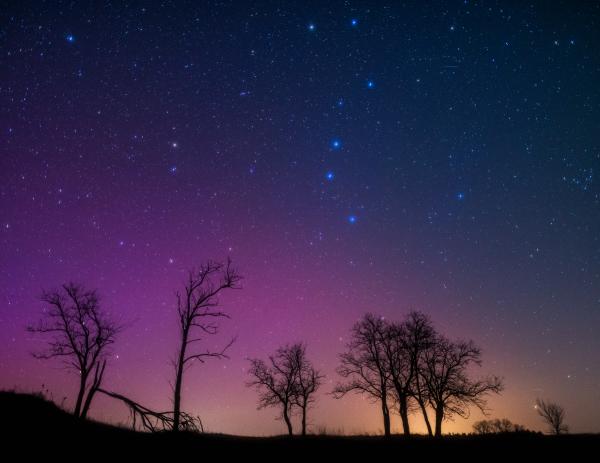 A sarki fény csodálói