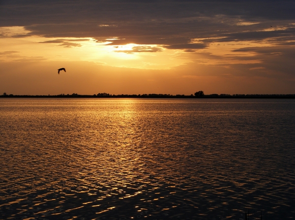 Hortobágy - Halastó