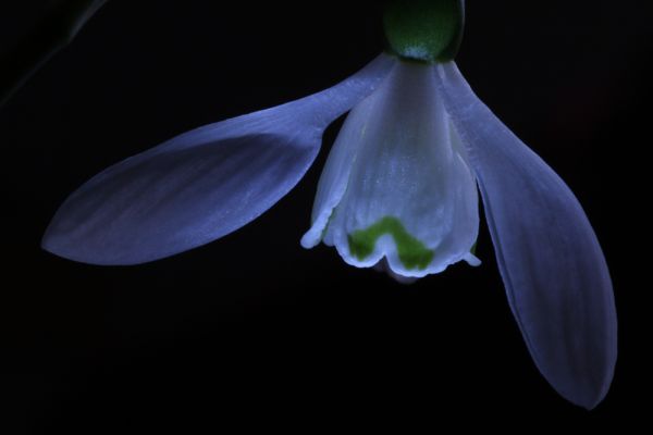 Esti megvilágítás