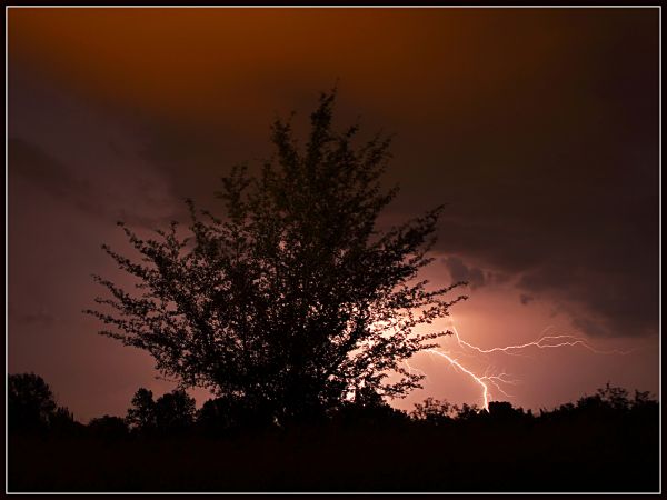 Mennydörgős ménkű