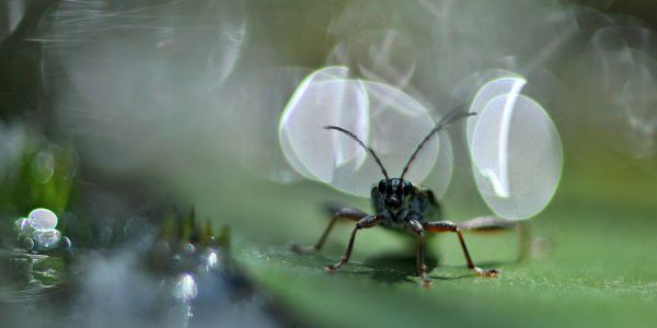 Egyszer volt, hol nem vol