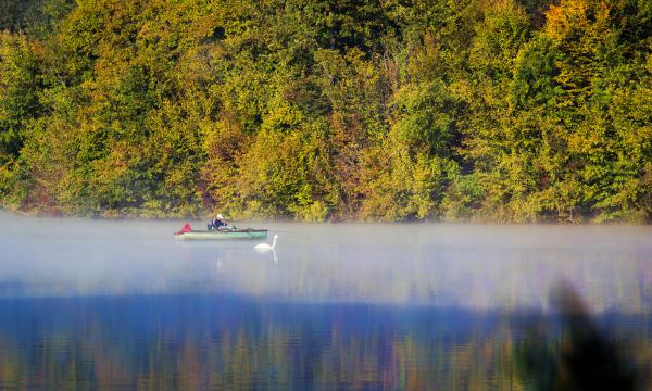 Csendben és békében