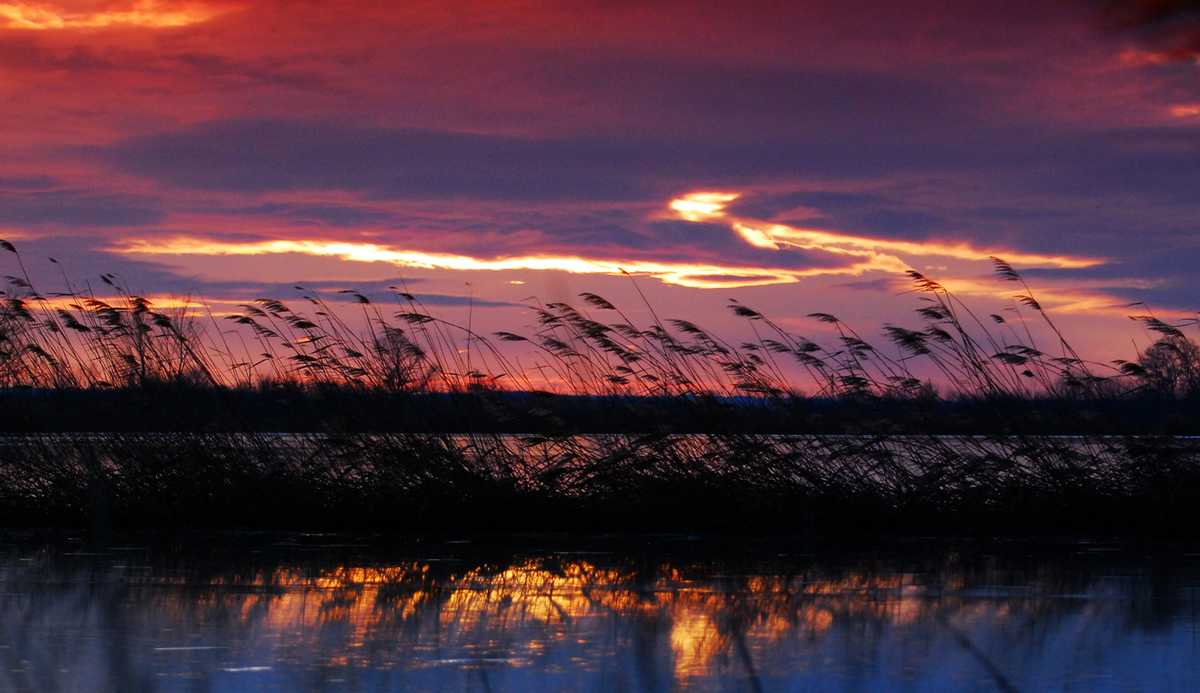 Gaál Zoltán Péter