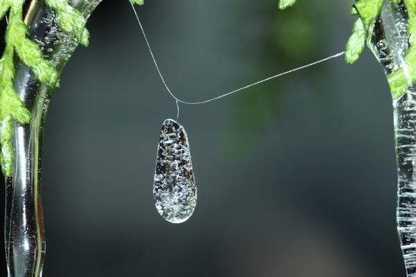 &quot;Jégszer&quot;