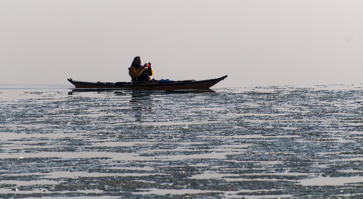 Gaál Zoltán Péter