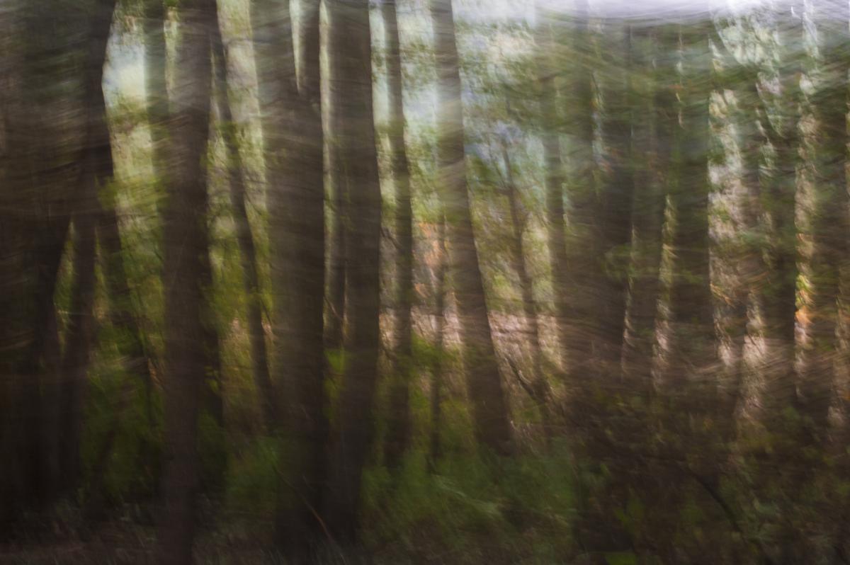 Berkesi Ágota Mirjam