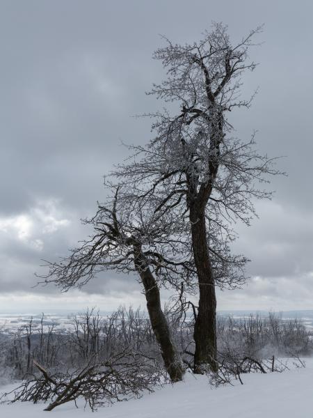 Magányosan