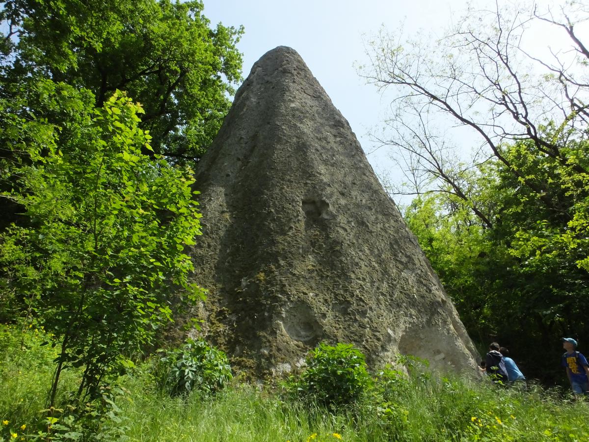 Koncz-Bisztricz Tamás