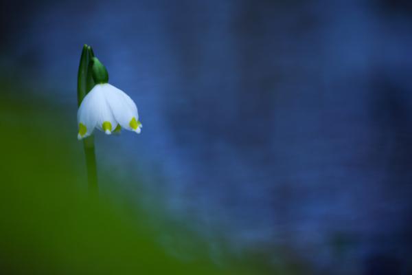 Föld és víz határán