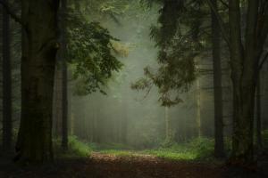 Jancsi és Juliska Jancsi és Juliska